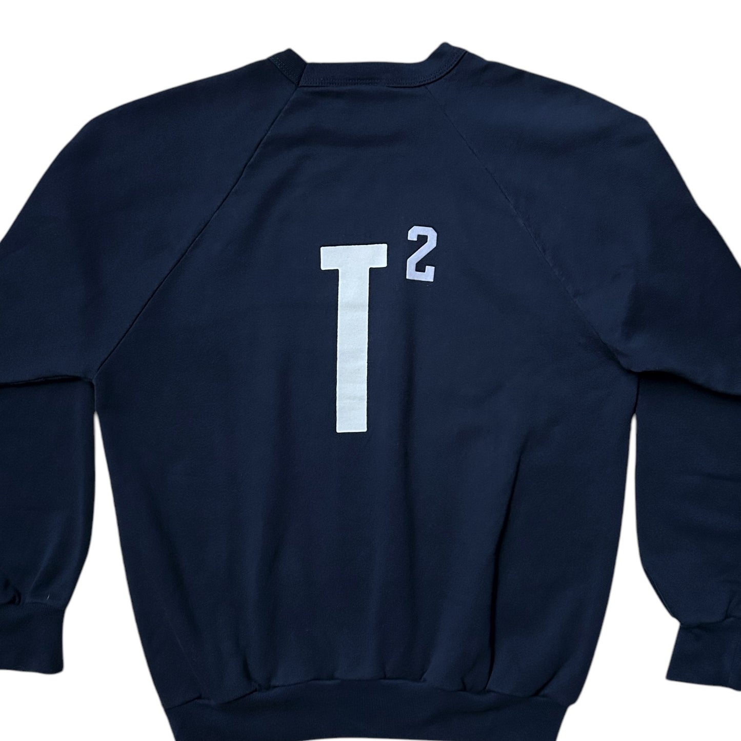 80s Vintage “In Theory…” sweatshirt.