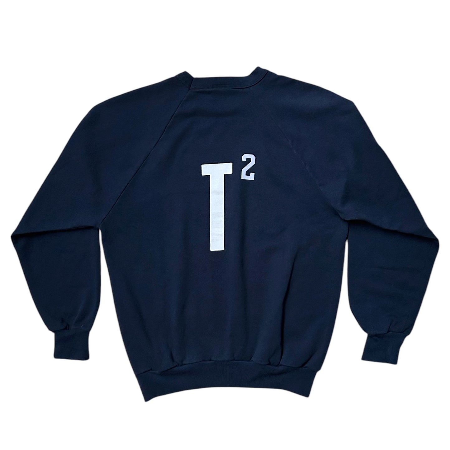 80s Vintage “In Theory…” sweatshirt.