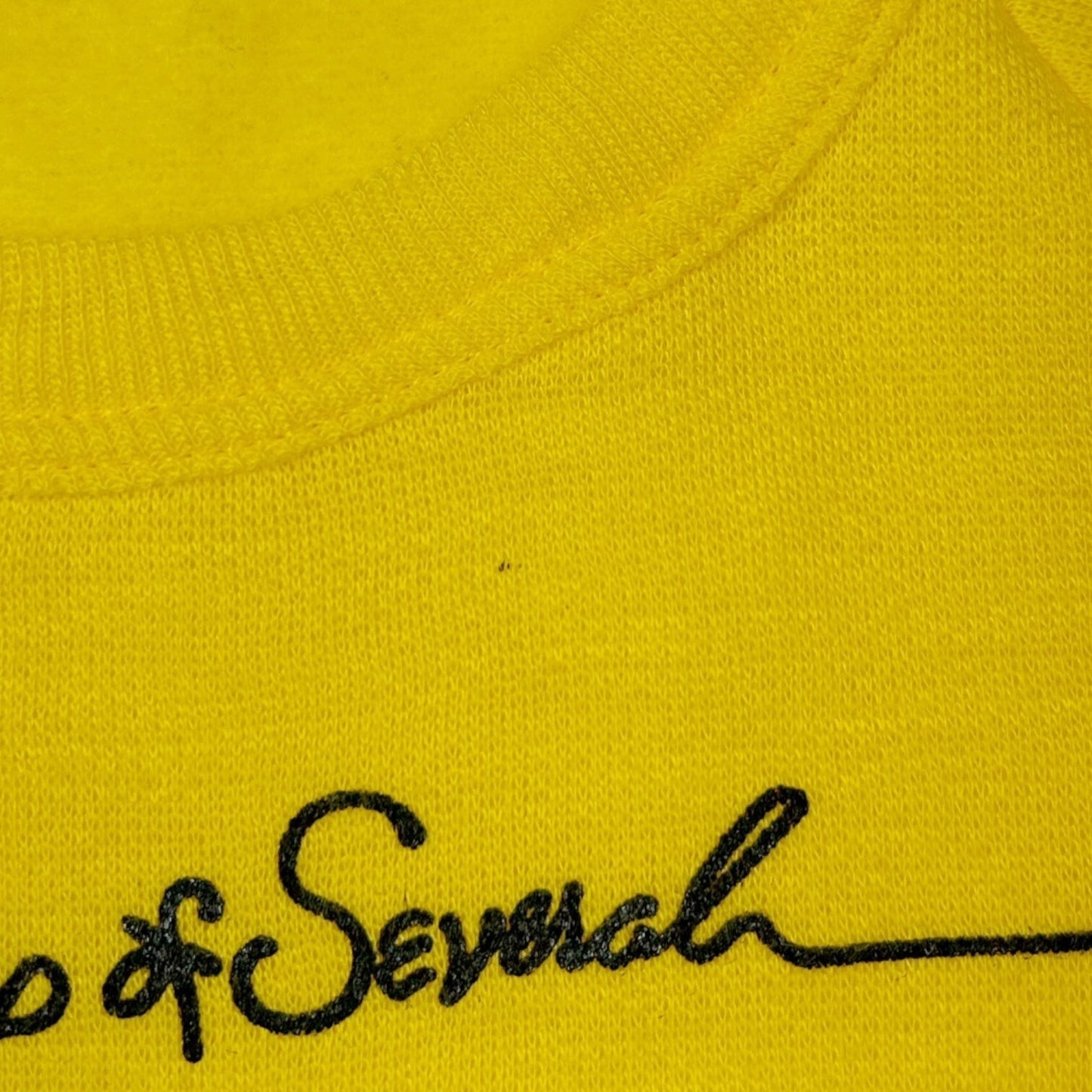 80s Vintage The Group of Several Sweatshirt.