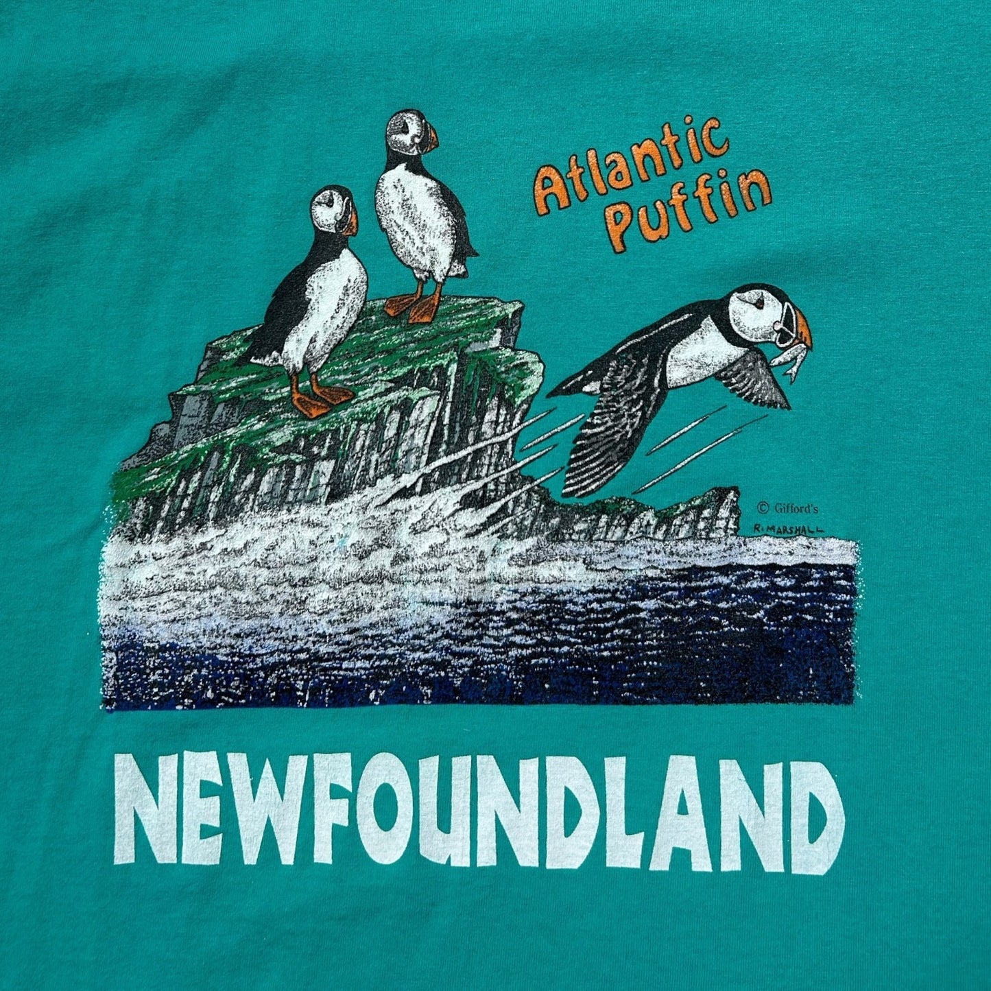 90s vintage Atlantic Puffin Newfoundland T-shirt.
